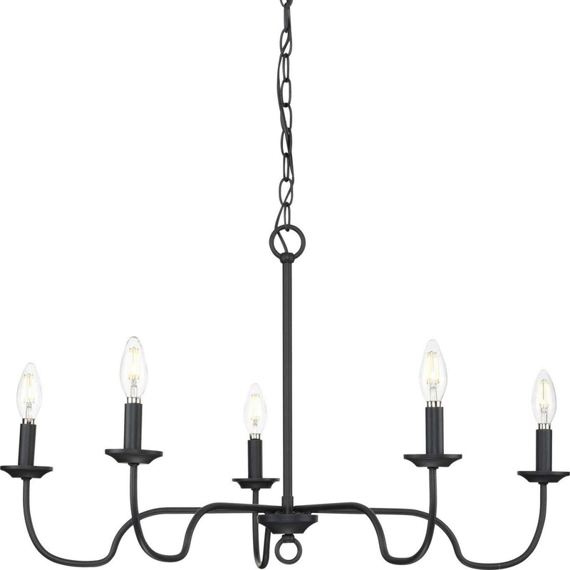 Canebrake 5-Light Chandelier in Matte Black