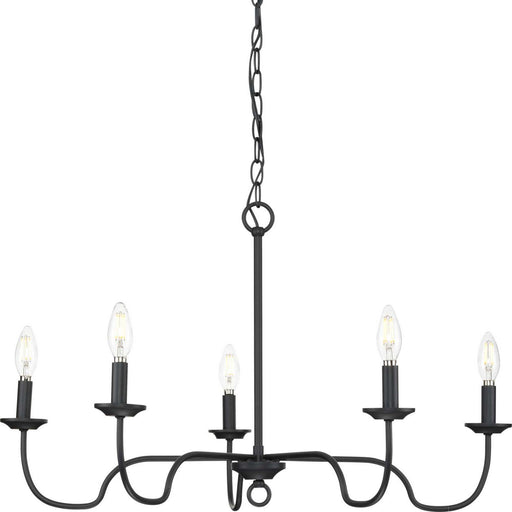 Canebrake 5-Light Chandelier in Matte Black