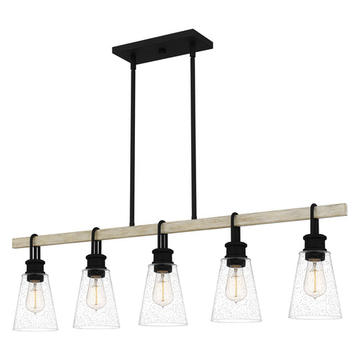 Kingsbridge 5-Light Linear Pendant in Earth Black