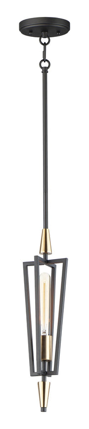Wings 1 Light Pendant in Black / Satin Brass
