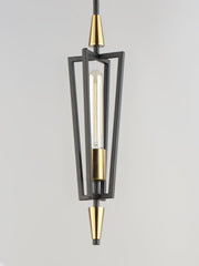 Wings 1 Light Pendant in Black / Satin Brass