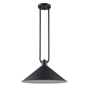 Roscoe 17" Pendant in Black