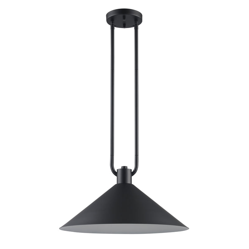 Roscoe 17" Pendant in Black