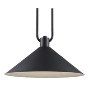Roscoe 17" Pendant in Black