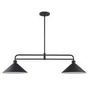 Roscoe 2-Light 38" Linear Pendant in Black