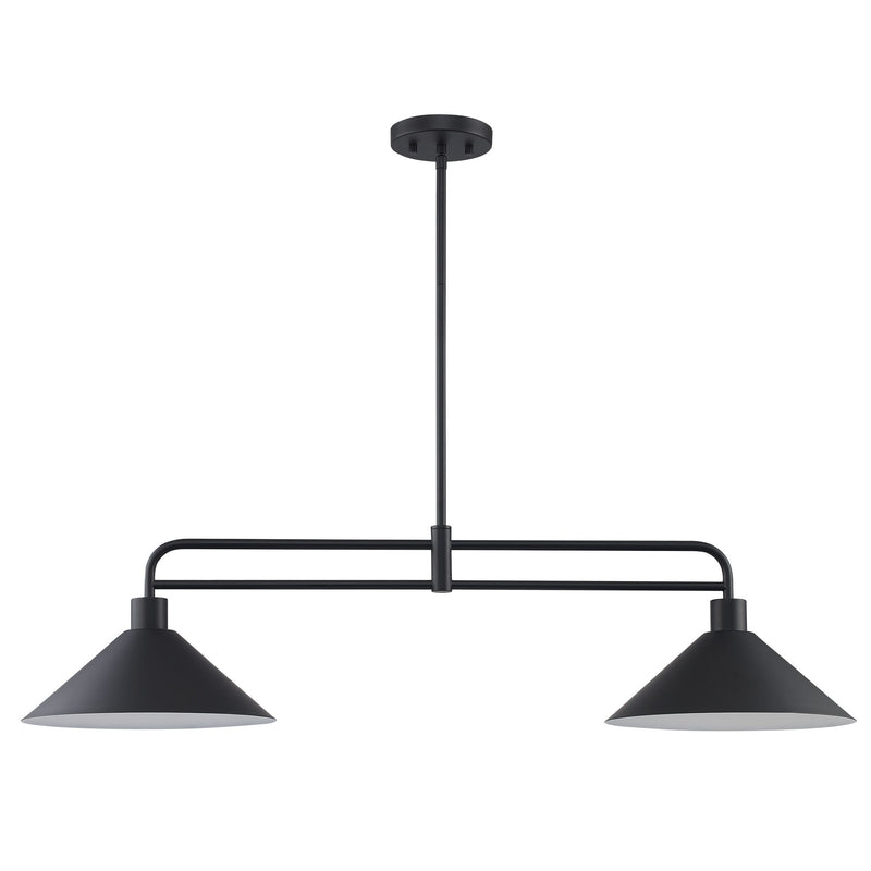 Roscoe 2-Light 38" Linear Pendant in Black