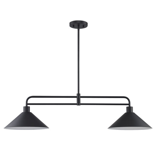 Roscoe 2-Light 38" Linear Pendant in Black