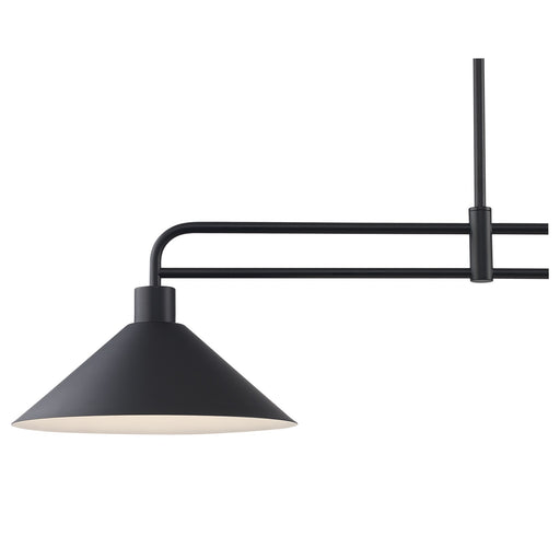 Roscoe 2-Light 38" Linear Pendant in Black