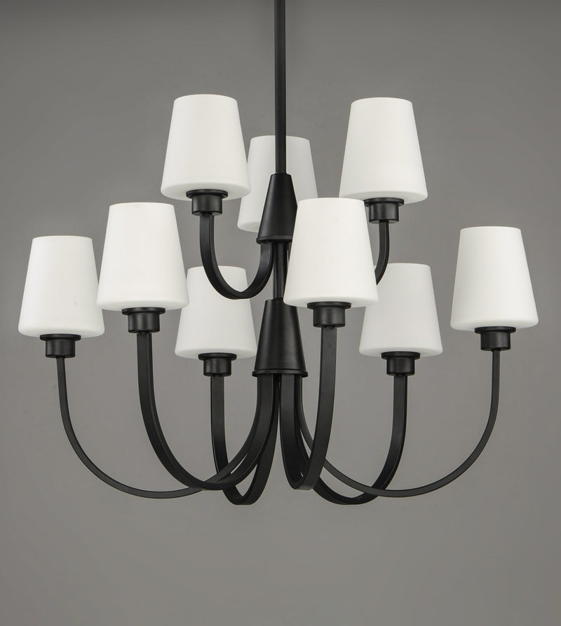 Shelter 9 Light Chandelier in Black