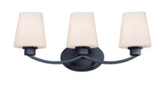 Shelter 3 Light Bath Vanity in Black