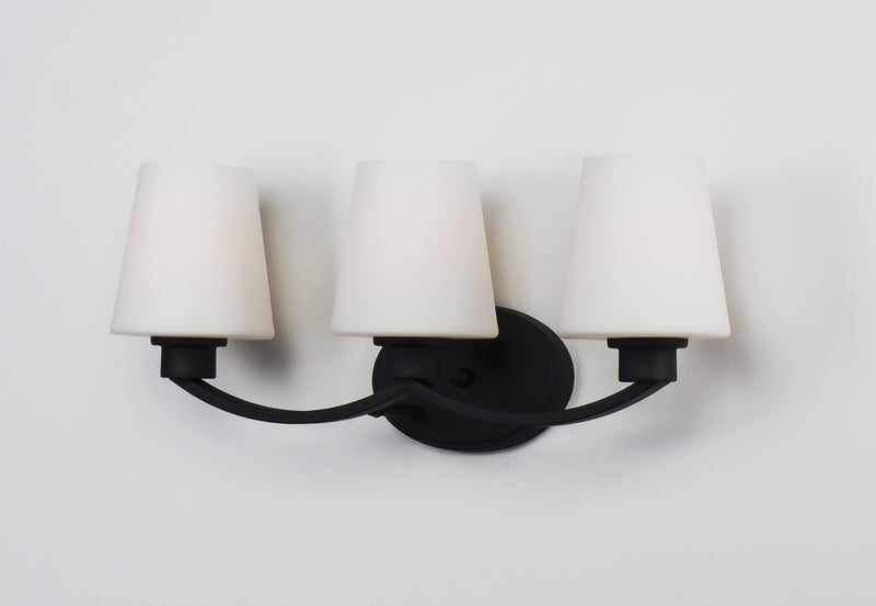 Shelter 3 Light Bath Vanity in Black