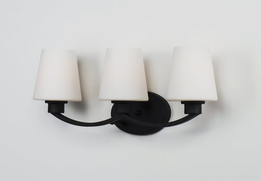 Shelter 3 Light Bath Vanity in Black