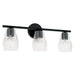 Dena 3-Light Vanity in Matte Black - Lamps Expo