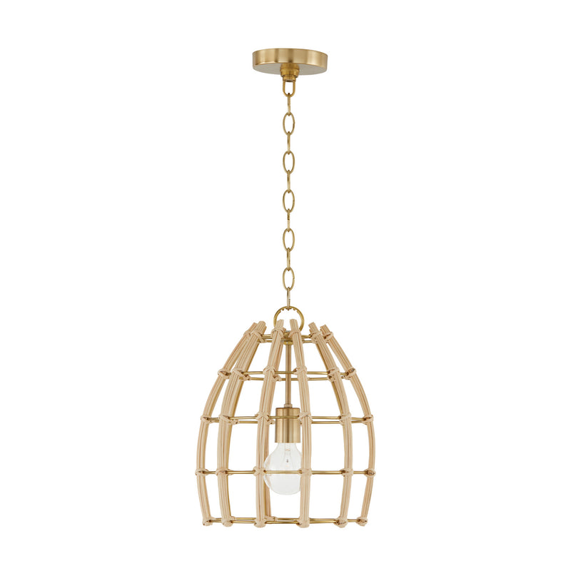Wren 1-Light Pendant in Matte Brass - Lamps Expo