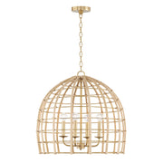 Wren 4-Light Pendant in Matte Brass - Lamps Expo