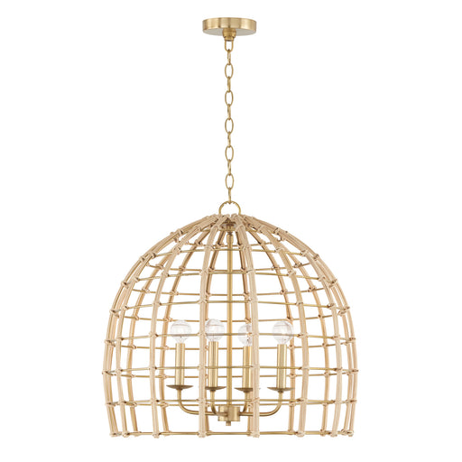 Wren 4-Light Pendant in Matte Brass - Lamps Expo