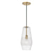 Dena 1-Light Pendant in Aged Brass - Lamps Expo