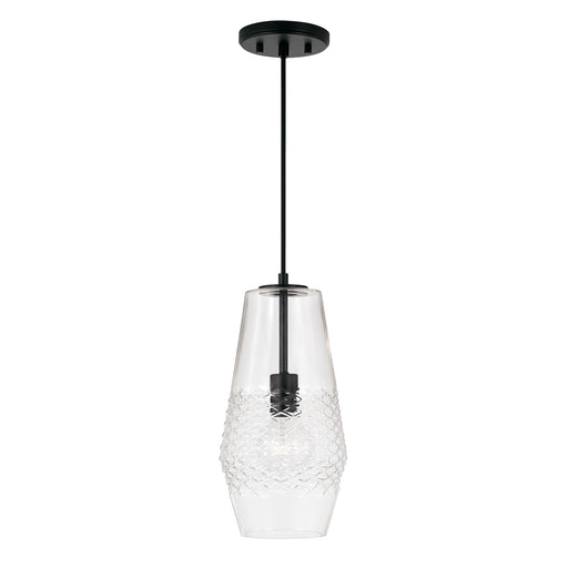 Dena 1-Light Pendant in Matte Black - Lamps Expo