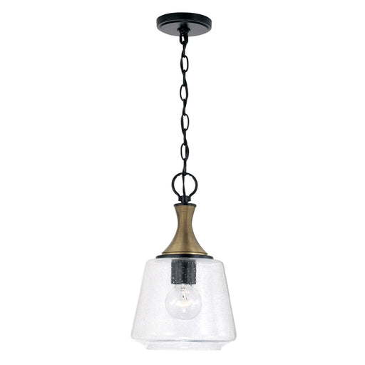 Amara 1-Light Pendant in Matte Black with Brass - Lamps Expo