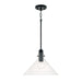 Greer 1-Light Pendant in Matte Black - Lamps Expo