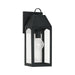 Burton 1-Light Outdoor Wall Lantern in Black - Lamps Expo