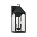Burton 2-Light Outdoor Wall Lantern in Black - Lamps Expo