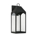 Burton 1-Light Outdoor Wall Lantern in Black - Lamps Expo