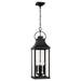 Bradford 4-Light Outdoor Hanging Lantern in Black - Lamps Expo