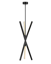Rae Pendant in Black