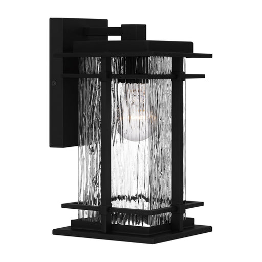 McAlister Medium Outdoor Wall Lantern in Earth Black