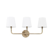 Dawson 3-Light Bath Vanity Light in Aged Brass