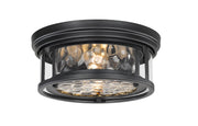 Clarion 2-Light Flush Mount in Matte Black - Lamps Expo