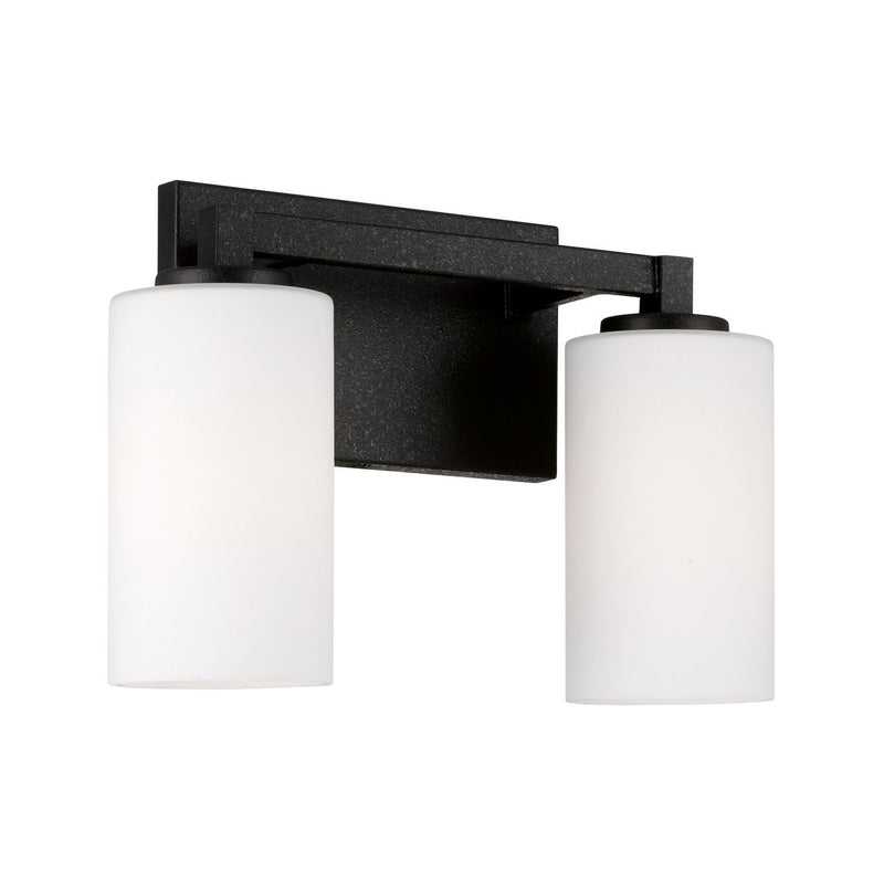 Ravenwood 2-Light Bath Vanity Light in Black Iron