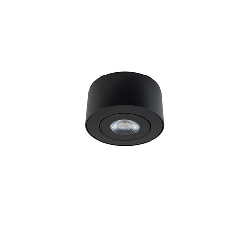 I Spy Outdoor Flush Mount in Black