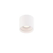 Squat Large Outdoor Flush Mount in White