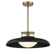 Gavin Pendant in Matte Black with Warm Brass Accents