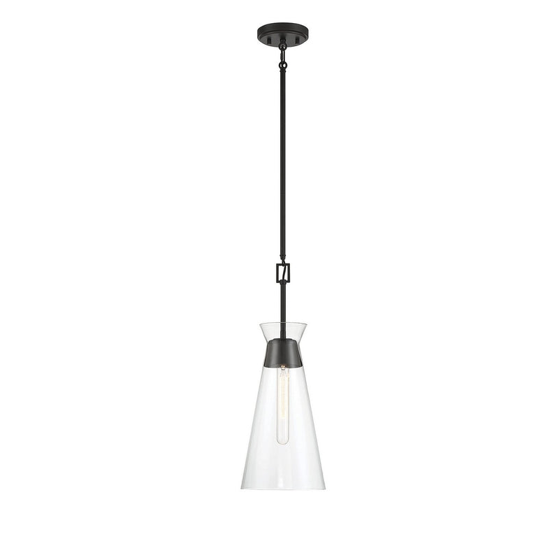Lakewood Mini Pendant in Matte Black