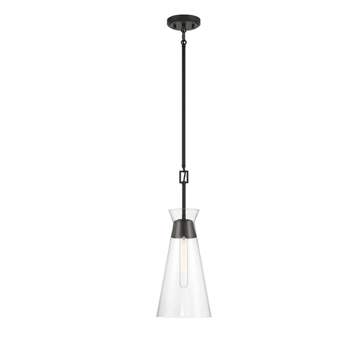 Lakewood Mini Pendant in Matte Black
