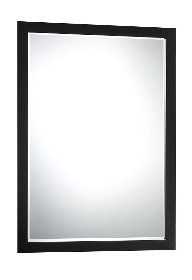 Paradox Mirror in Coal