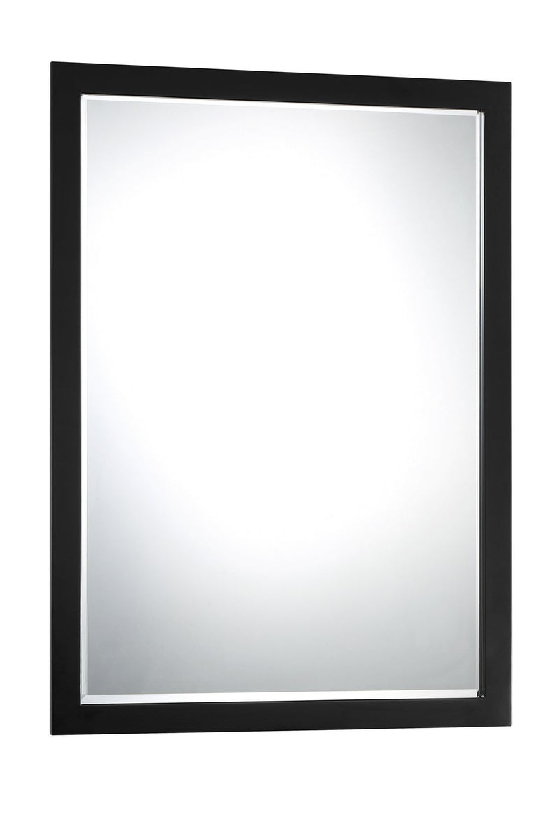 Paradox Mirror in Coal