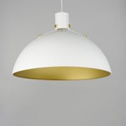 Dawn 20" Pendant in White / Satin Brass