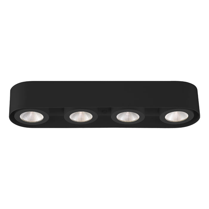 Nymark LED Ceiling Mount in Black - Lamps Expo
