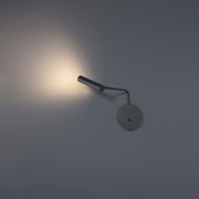 Sprig LED Swing Arm in Black - Lamps Expo