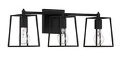 Dunn 3 Light 22.75" Vanity in Flat Black