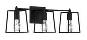 Dunn 3 Light 22.75" Vanity in Flat Black