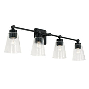 Rory 4-Light Bath Vanity Light in Matte Black