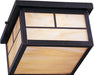 4059HOBU - Coldwater 2-Light Outdoor Ceiling Mount in Burnished by Maxim Lighting