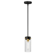 Pinn Mini Pendant in Black / Satin Brass