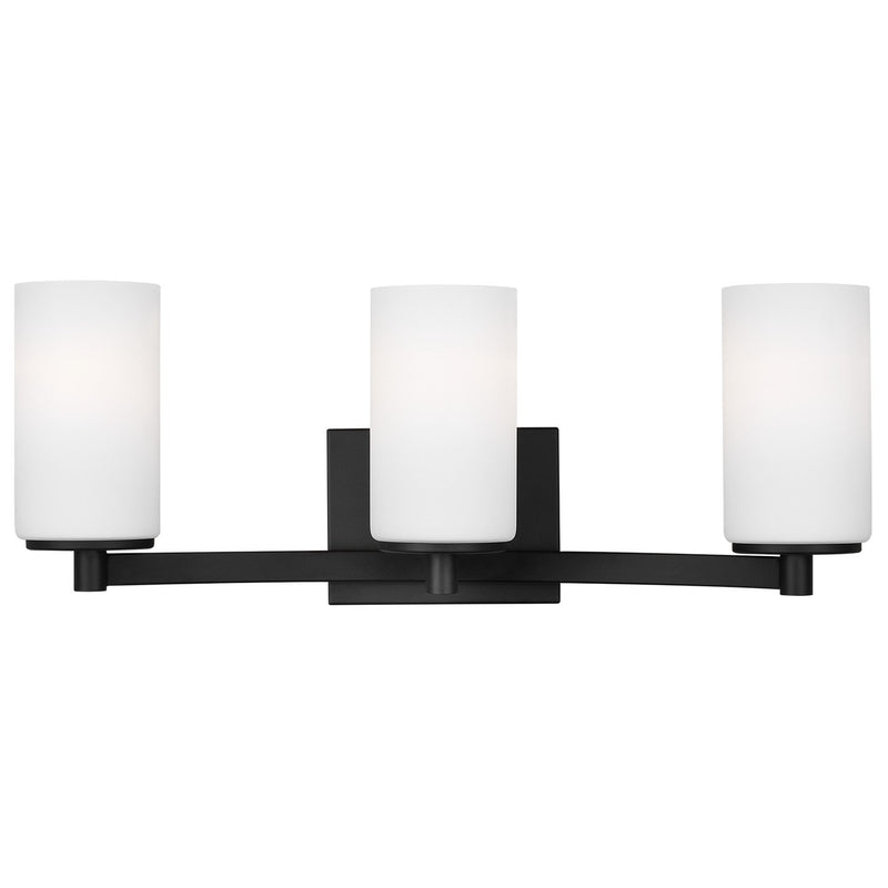 Hettinger 3-Light Bath Vanity Light in Midnight Black