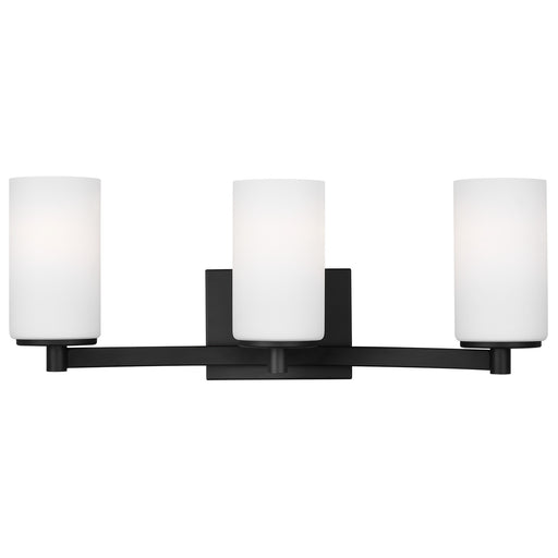 Hettinger Three Light Wall / Bath in Midnight Black